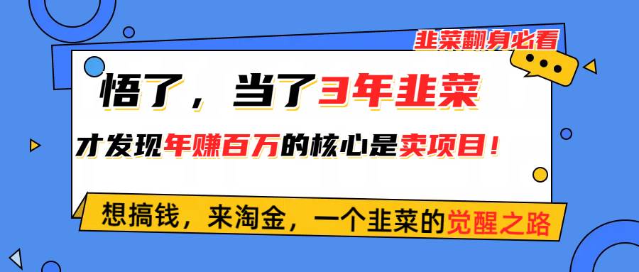 悟了，当了3年韭菜，才发现网赚圈年赚100万的核心是卖项目，含泪分享！-创想网
