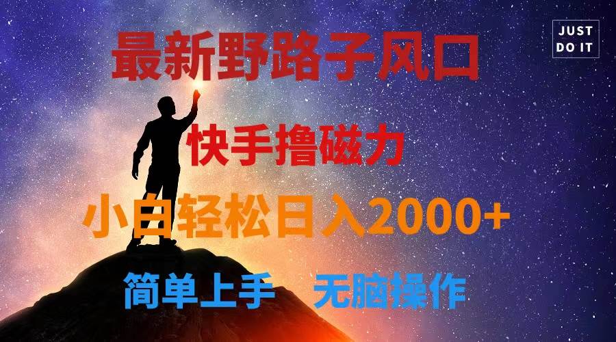 最新风口！快手撸磁力，野路子，小白无脑操作日入2000+-创想网