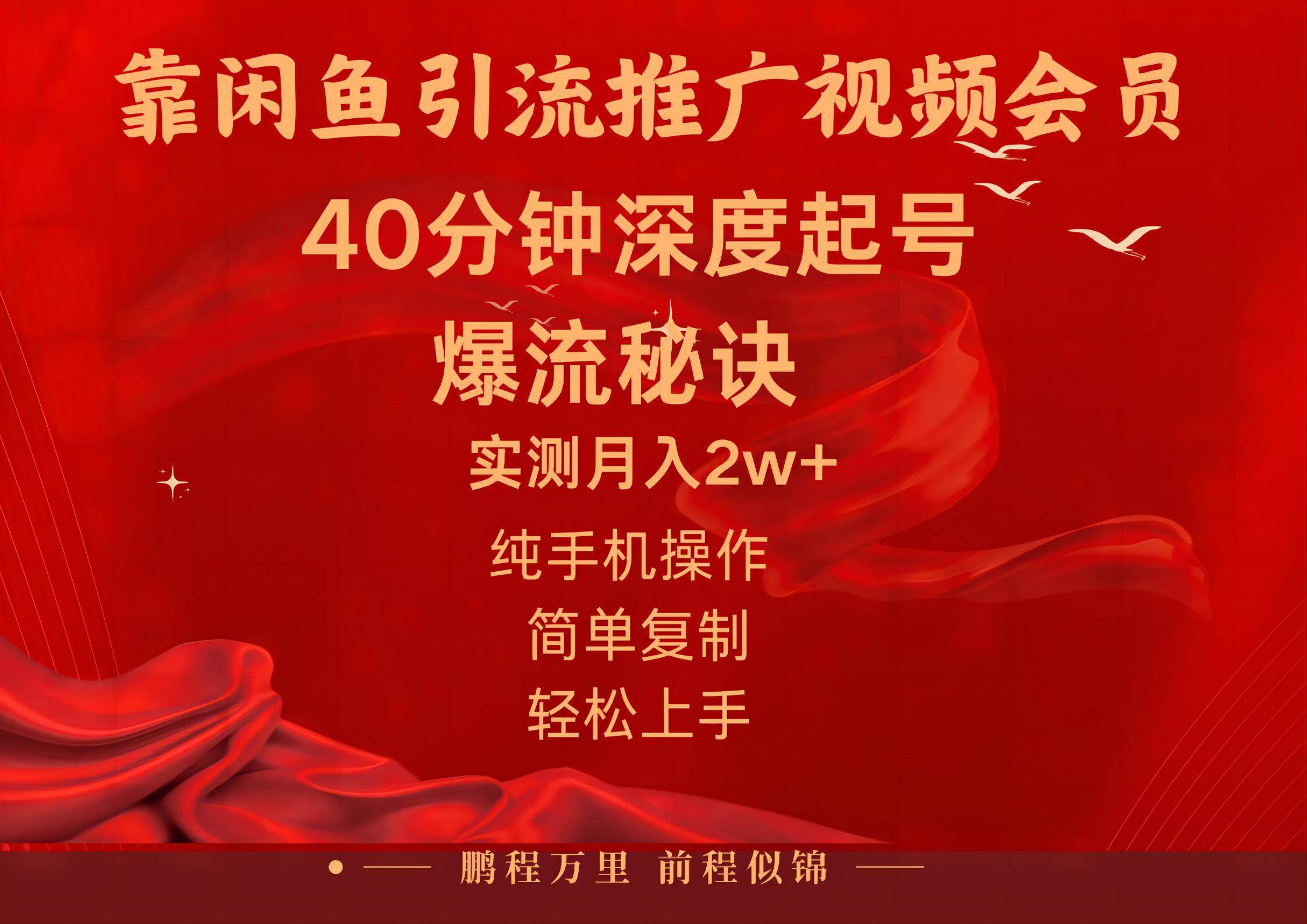 闲鱼暴力引流推广视频会员，能做到日入2W+，操作简单-创想网