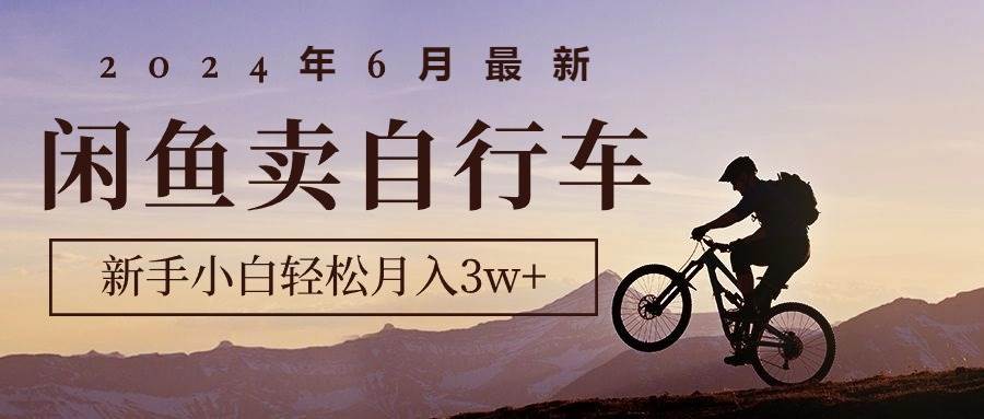 2024年6月最新闲鱼卖自行车，新手小白轻松月入3w+项目-创想网
