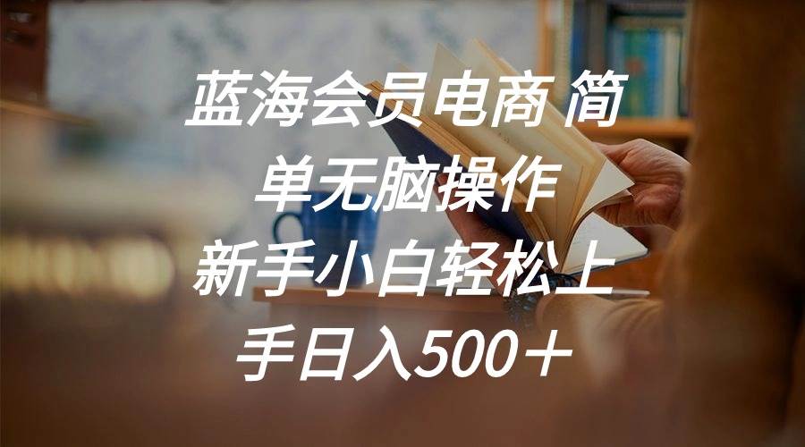 蓝海会员电商 简单无脑操作 新手小白轻松上手日入500＋-创想网