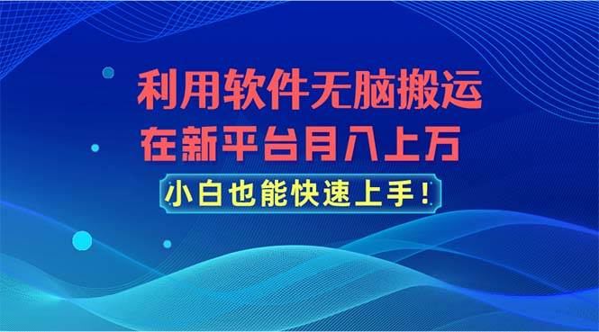 利用软件无脑搬运，在新平台月入上万，小白也能快速上手-创想网