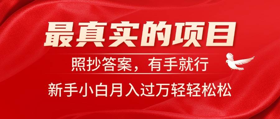 最真实的项目，照抄答案，有手就行，新手小白月入过万轻轻松松-创想网