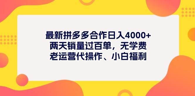 最新拼多多项目日入4000+两天销量过百单，无学费、老运营代操作、小白福利-创想网