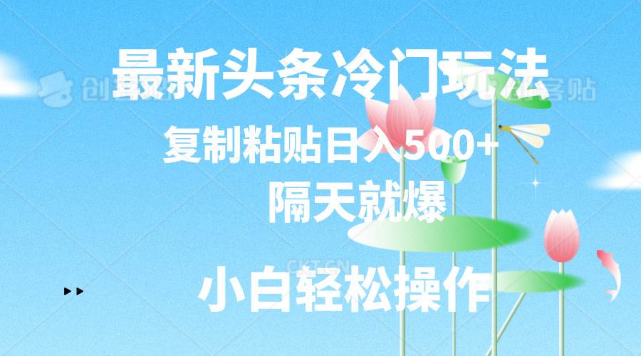 最新头条冷门玩法，隔天就爆，复制粘贴日入500+-创想网