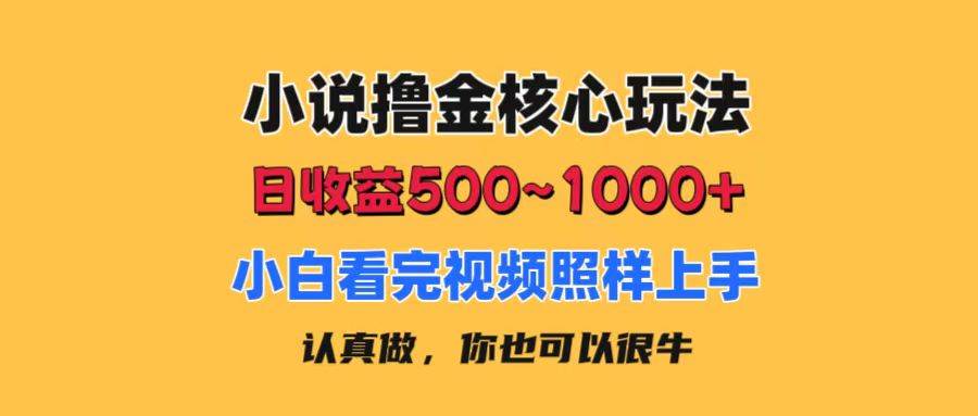 小说撸金核心玩法，日收益500-1000+，小白看完照样上手，0成本有手就行-创想网