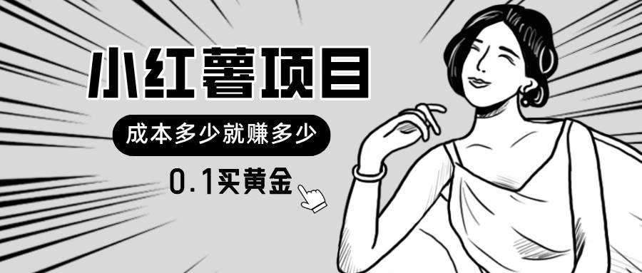 小红薯暴力项目，0.1买黄金。操作简单，日入无上限，可无限扩大。-创想网